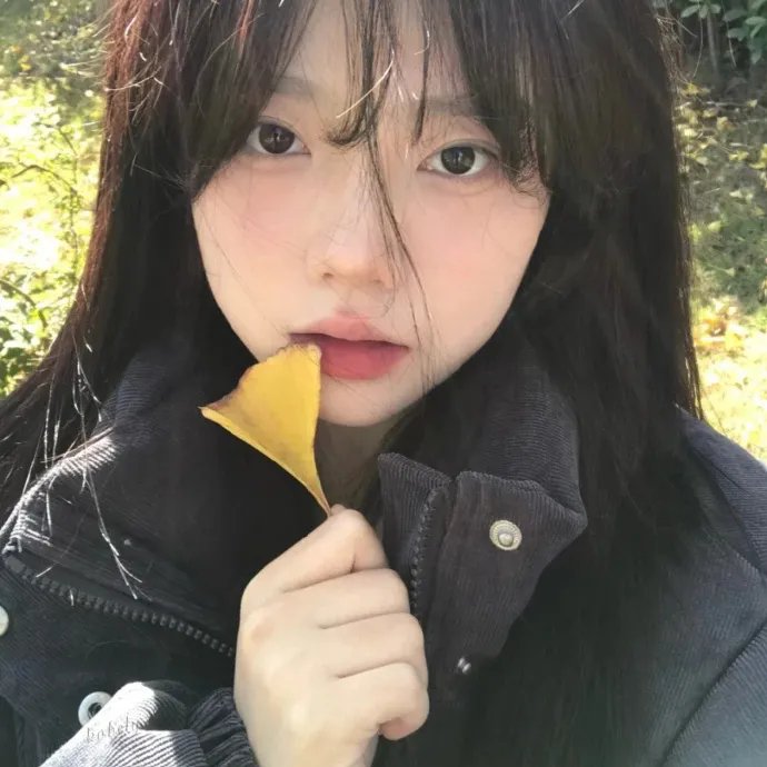 蝴蝶粤语 海报